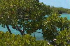 Mauritius-MPA-chapter1
