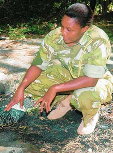 Mwanapili Hamisi
